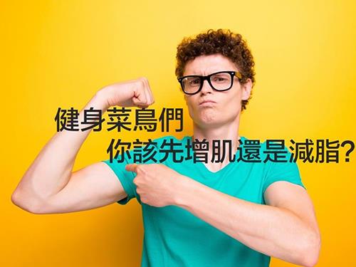 健身新手們先該減脂還是增??？